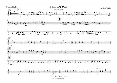 Stil In Mij - Tritonus Music